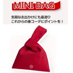 TIRTIR　ティルティル ミニバッグ ノベルティ