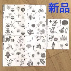 新品未使用 サピックス 動物カード全3枚 理科 生物分野暗記カード