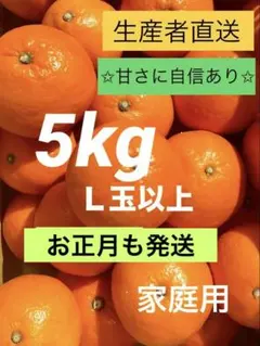 【大玉】愛媛県産　紅マドンナ同品種　愛果28号 まどんな