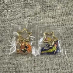 ピーターパン シークレットキーチェーン ディズニーストア