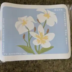 たけちゃん様 リクエスト 2点 まとめ商品