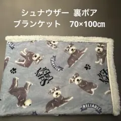 《新品》シュナウザー 裏ボア　ブランケット　70×100㎝　膝掛け　フワフワ