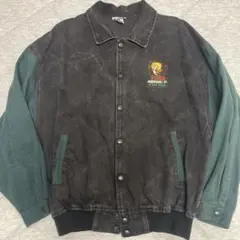 Item thumbnail for item 6f1e4010-2fc8-4648-a5ef-96ab00260474