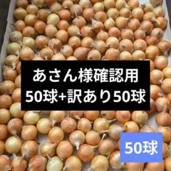 50-13　ホーム玉ねぎ　50球+訳あり50球　種球のサムネイル