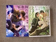 Item thumbnail for item e2cb4534-5520-45aa-b33f-cdd49c8894df