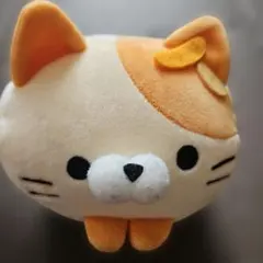 もちふわ！ ころころにゃんこ 八重山 石垣島 限定 いりおもてやまねこ