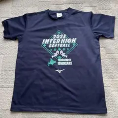 Item thumbnail for item 3babc26a-0fed-4f25-8dea-7cfd471e79fa