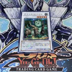 2025年最新】ナチュル・ビースト DTの人気アイテム - メルカリ