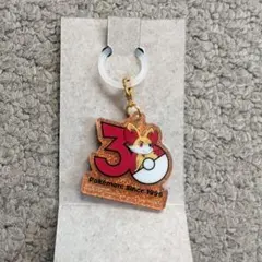 ポケモン 30周年 ロゴマスコット フォッコ ポケチャーム