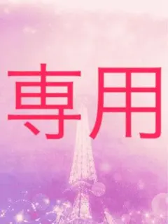 専用