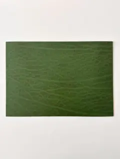 Item thumbnail for item 8dc17055-001d-4133-aabb-87deca689440