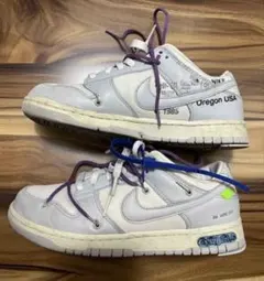 Off-White × Nike Dunk Low Lot.48