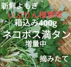 いぶりん様専用農薬不使用！よもぎ箱込み約400グラム