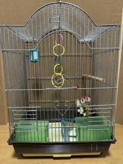 鳥かご バードケージのサムネイル
