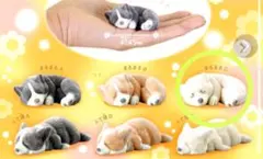 ガチャ　もふもふコーギー　まるまるC