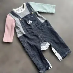 Buddy Lee マルチカラー オーバーオール