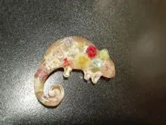 カラフルなカメレオン