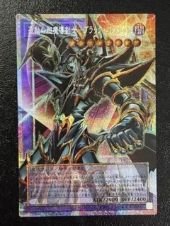 波動の超魔導剣士ブラックパラディン 遊戯王 オーバーフレーム プリズマ　プリシク