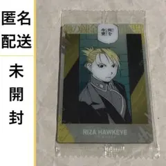 匿名 2-08 未開封 ウエハース2 ハガレン N リザ 鋼の錬金術師