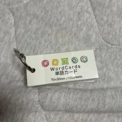 単語カード 70×30mm 100枚綴り