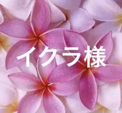 イクラ様