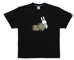 Item thumbnail for item 31029de4-da64-4394-acec-9daad5af06c2