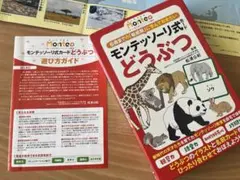 モンテッソーリ式カード どうぶつ Monte+ 知育カード フラッシュカードのサムネイル