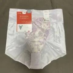 ワコール ウイング【ハミデンヌ】ガードル（ショート丈）KQ2585 IV 82L