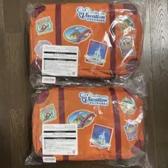 ディズニー　バケーションパッケージ　ブランケット2個セット　未使用