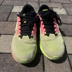 Item thumbnail for item 557d1b86-facc-4471-bee6-0137c4fe24c0