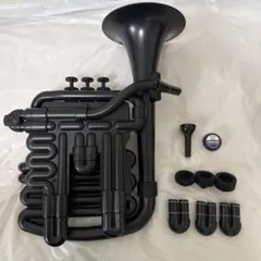NUVO jHorn ブラック 管楽器のサムネイル