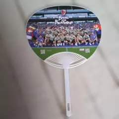プロフィールの方をご確認下さいサンガF.C. 2025年 ８００円～３００円
