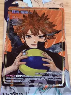 ハイキュー バボカ 才能とセンス BREAK 日向翔陽