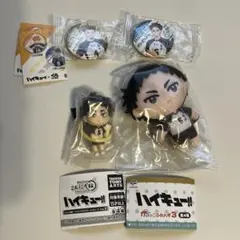 ハイキュー‼︎ 赤葦京治 マスコット 缶バッジ セット