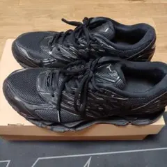 Item thumbnail for item 41046373-67e5-4eb4-826c-6016522ae360