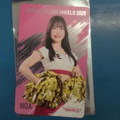 東北ゴールデンエンジェルス NOA グルメカード
