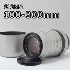 【300mm超望遠】SIGMA 100-300mm Canon EF用 フード付
