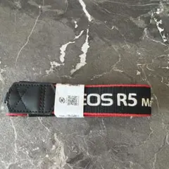 Item thumbnail for item 6d4df999-68bf-4af0-be03-8967b99173bb