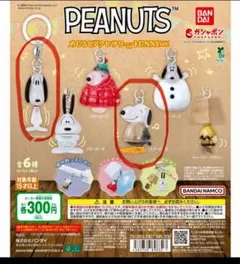 PEANUTS めじるしアクセサリー　スヌーピー