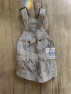 Lee ストライプ柄オーバーオール