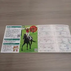 ご予約の方専用 11/30 JRA レーシングプログラム等
