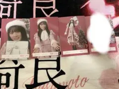 櫻坂46 稲熊ひな 2025年サンタ衣装 生写真 コンプ - メルカリ