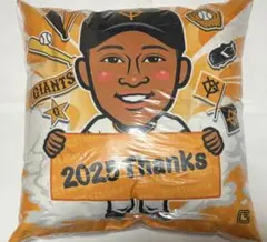 ‼️1月3日までセール‼️読売ジャイアンツ　SR ライデルマルティネス　クッション