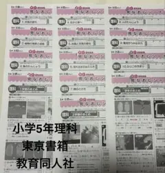 【新品未使用】５年生 算数テスト 東京書籍 教育同人社 17枚フルセット 小学5年生 算数 東京書籍 教育同人社 カラー プリント テスト 予習