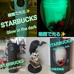 赤字価格❗断捨離セール‼️STARBUCKS★北米限定★グローインザダークセット