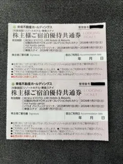 東急不動産ホールディングス 株主様ご宿泊優待共通券2枚