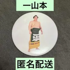 大相撲　幕内力士 缶バッジ　一山本　放駒部屋　日本相撲協会