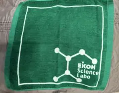 栄光サイエンスラボ　タオル