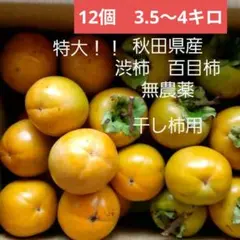 百目柿