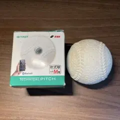 enaga TECHNICAL PITCH Mサイズ enaga TECHNICAL PITCH Mサイズ Amazon | SSK(エスエスケイ